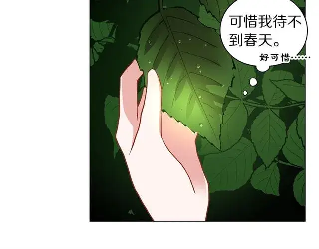 漫画《露西亚-攻略公爵计划》第16话 玫瑰宫第38张图