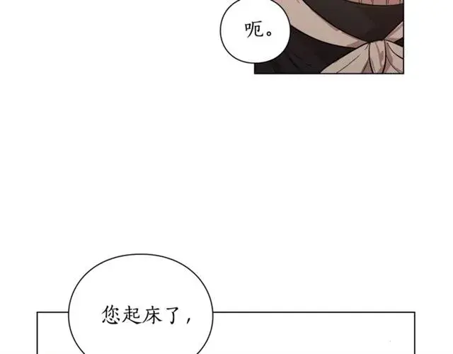 漫画《露西亚-攻略公爵计划》第16话 玫瑰宫第9张图
