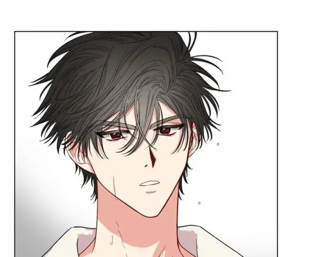 漫画《露西亚-攻略公爵计划》第18话 新婚之夜的意外第126张图