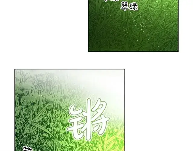 漫画《露西亚-攻略公爵计划》第26话 私生子是？！第48张图