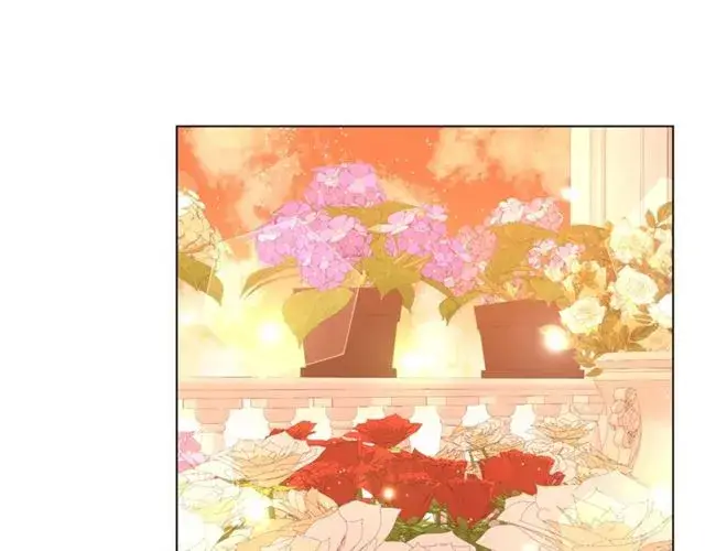《露西亚-攻略公爵计划》第44话 花的含义图51