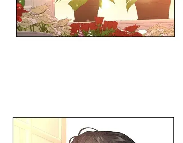 《露西亚-攻略公爵计划》第44话 花的含义图9