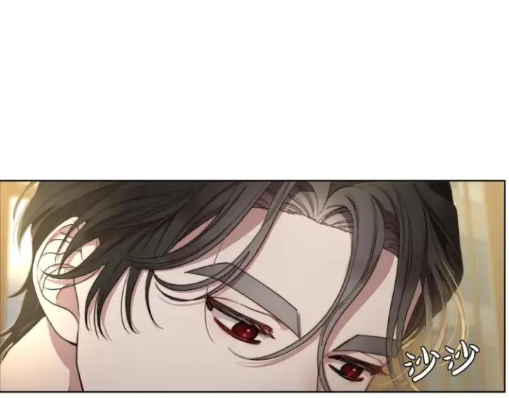 漫画《露西亚-攻略公爵计划》第64话 下意识护妻第126张图
