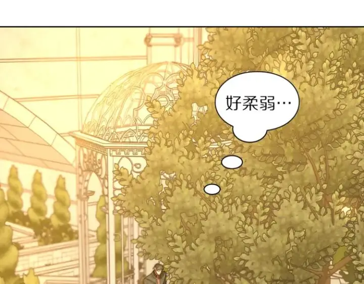 漫画《露西亚-攻略公爵计划》第67话 都是我的错第80张图