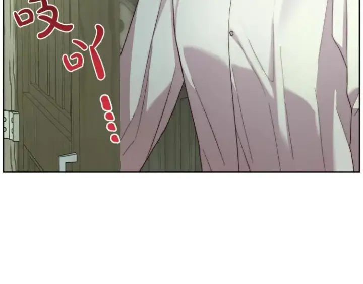 漫画《露西亚-攻略公爵计划》第78话 被厌弃的医师第40张图