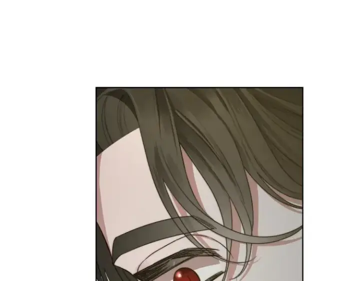 漫画《露西亚-攻略公爵计划》第89话 我有了想相守的人第97张图