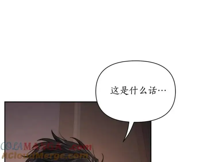 漫画《露西亚-攻略公爵计划》第127话 他不会说谎第89张图