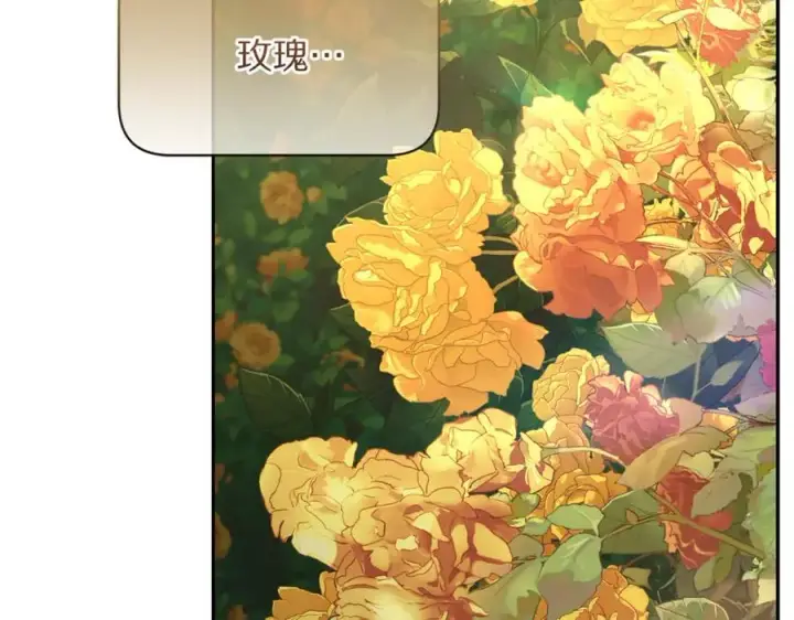 《露西亚-攻略公爵计划》第146话 吃醋图91