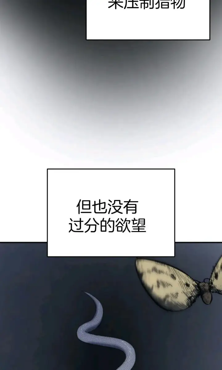 《死神漂月》死神飘月 第3话图75