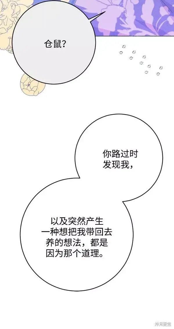 《我的夫君每晚都不同》第11话图34