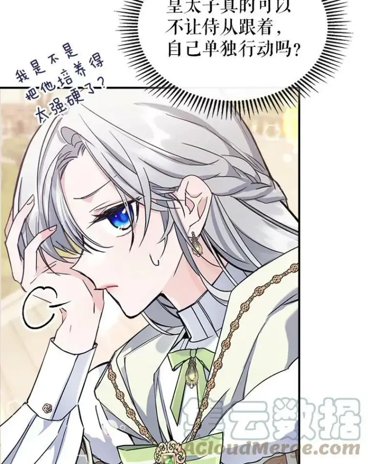 《满级公女今天也很无聊》21.生日礼物图33