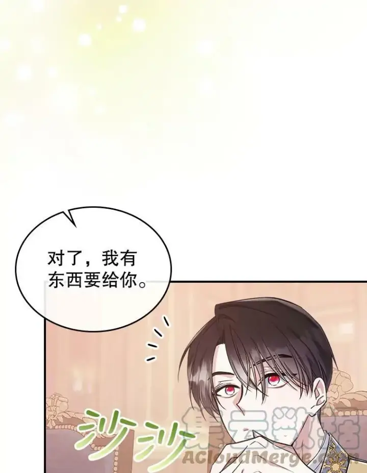 《满级公女今天也很无聊》21.生日礼物图77