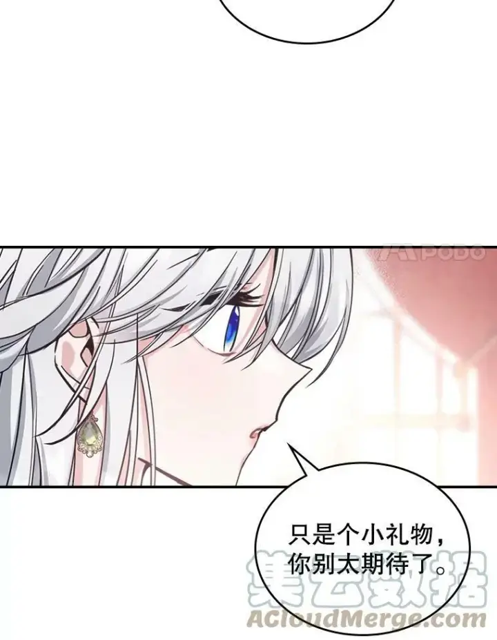 《满级公女今天也很无聊》21.生日礼物图81