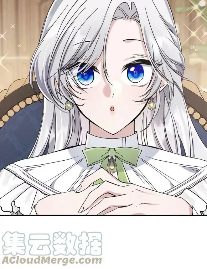 《满级公女今天也很无聊》21.生日礼物图93