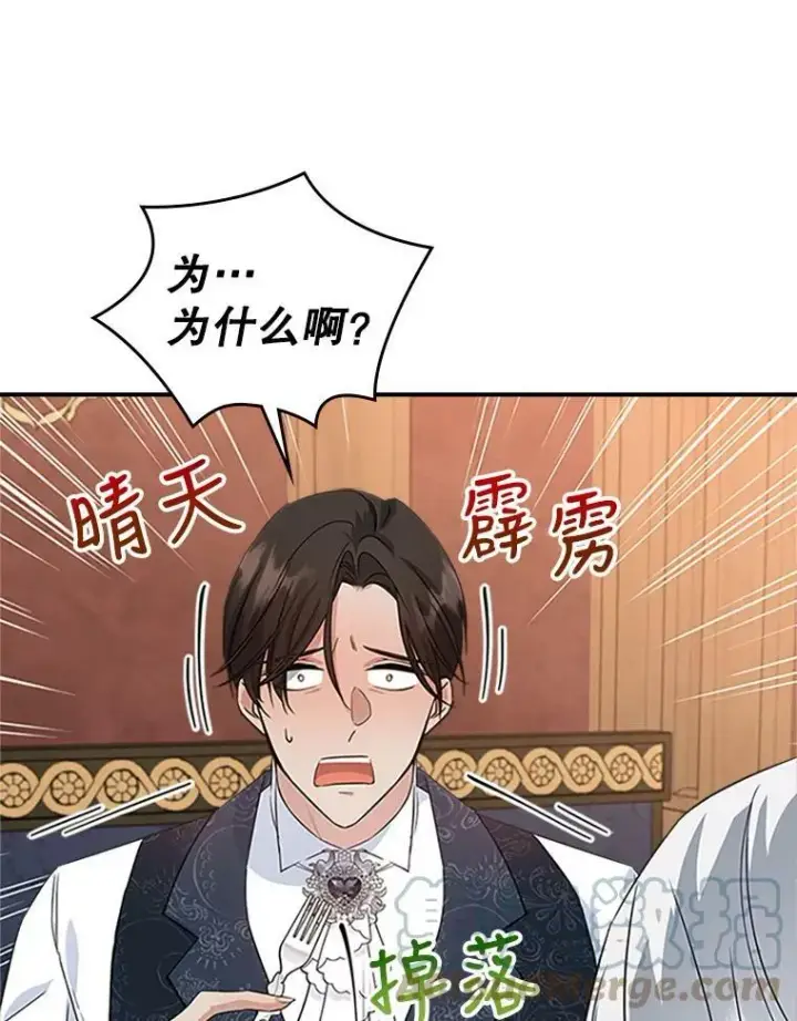 《满级公女今天也很无聊》25.皇太子妃图53