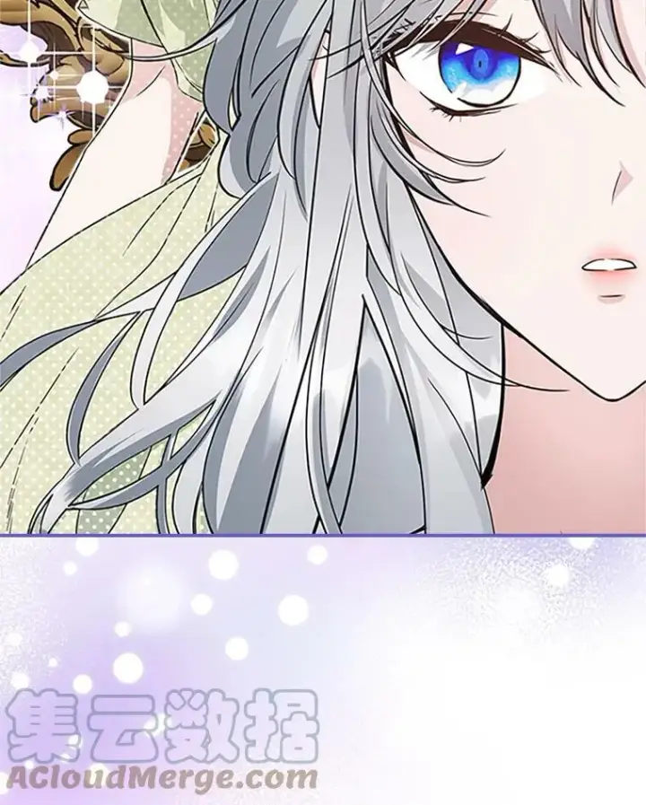 《满级公女今天也很无聊》25.皇太子妃图73