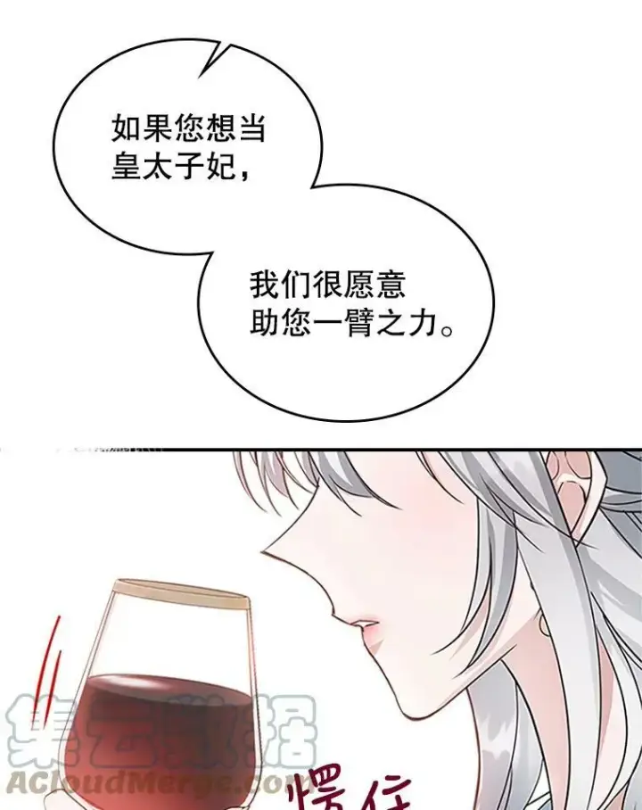 《满级公女今天也很无聊》25.皇太子妃图81