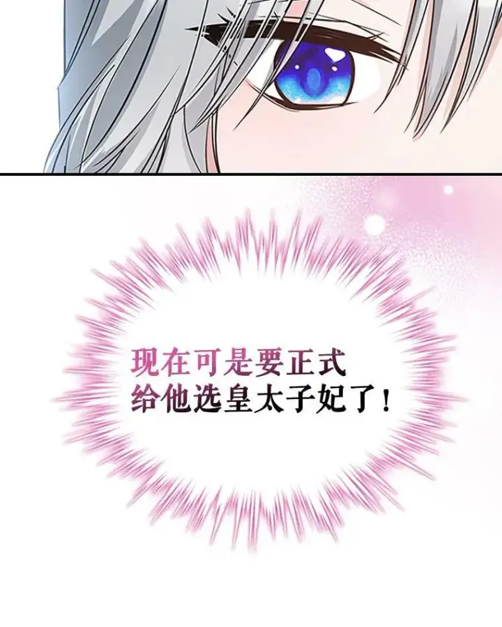 《满级公女今天也很无聊》25.皇太子妃图94