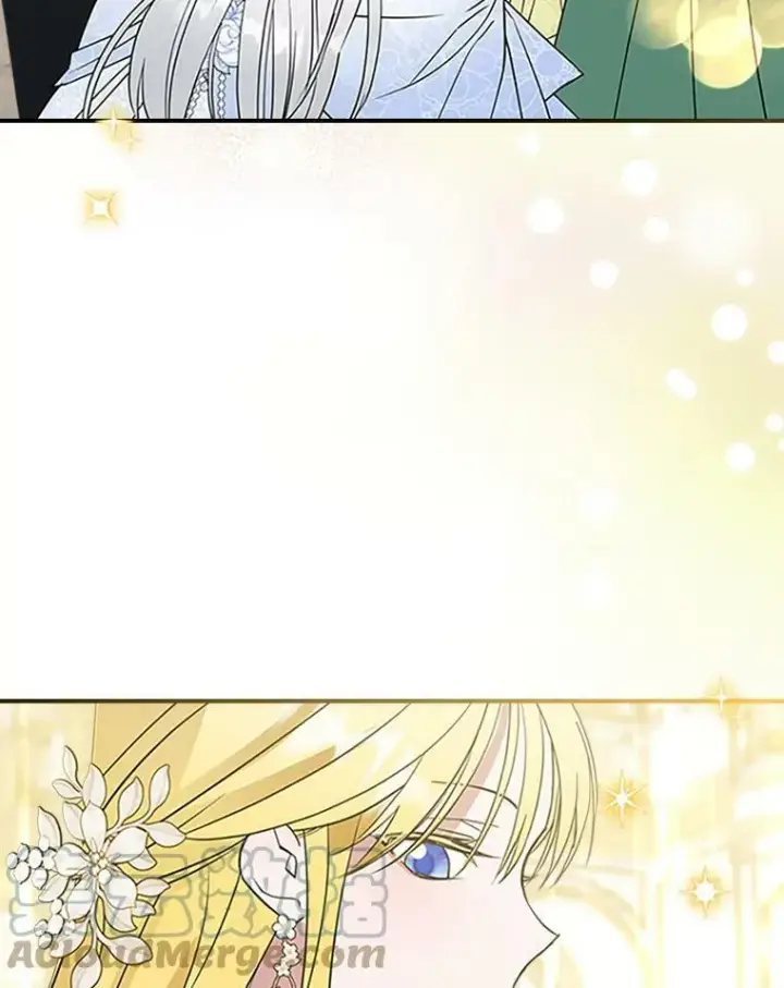 《满级公女今天也很无聊》30.生日派对图45