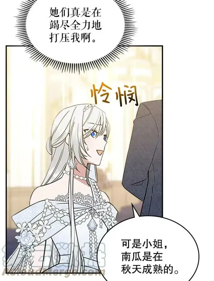 《满级公女今天也很无聊》30.生日派对图53