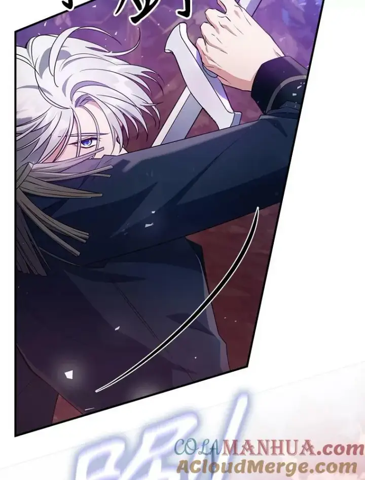 漫画《满级公女今天也很无聊》39.交战第10张图