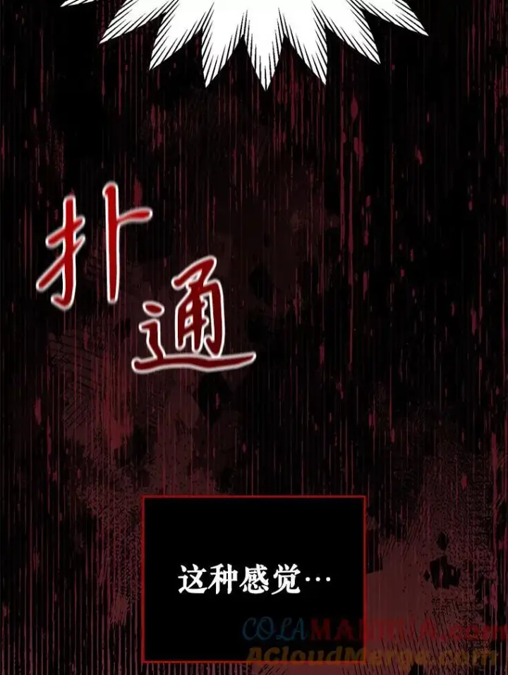 漫画《满级公女今天也很无聊》43.皮革和纹样第34张图
