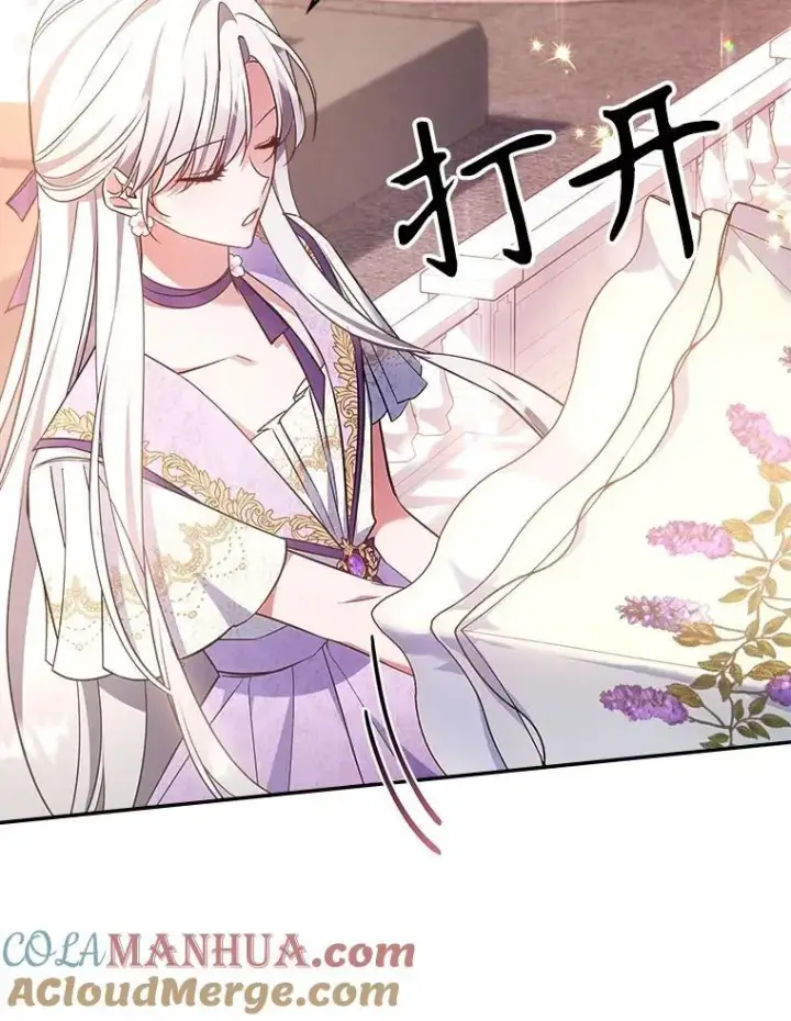 《满级公女今天也很无聊》56.哥哥被软禁图29