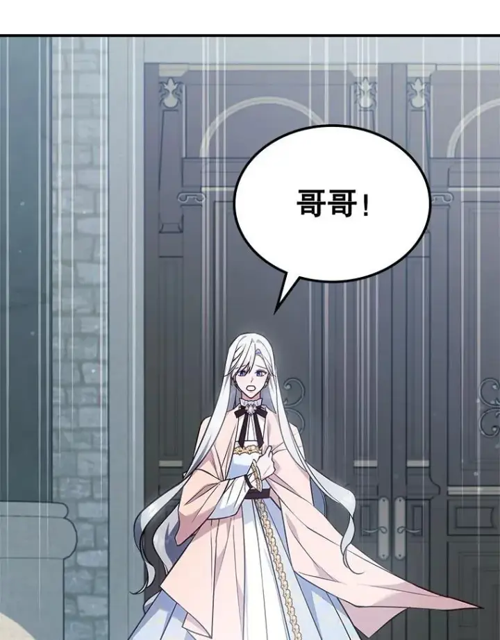《满级公女今天也很无聊》59.哥哥回来了图53