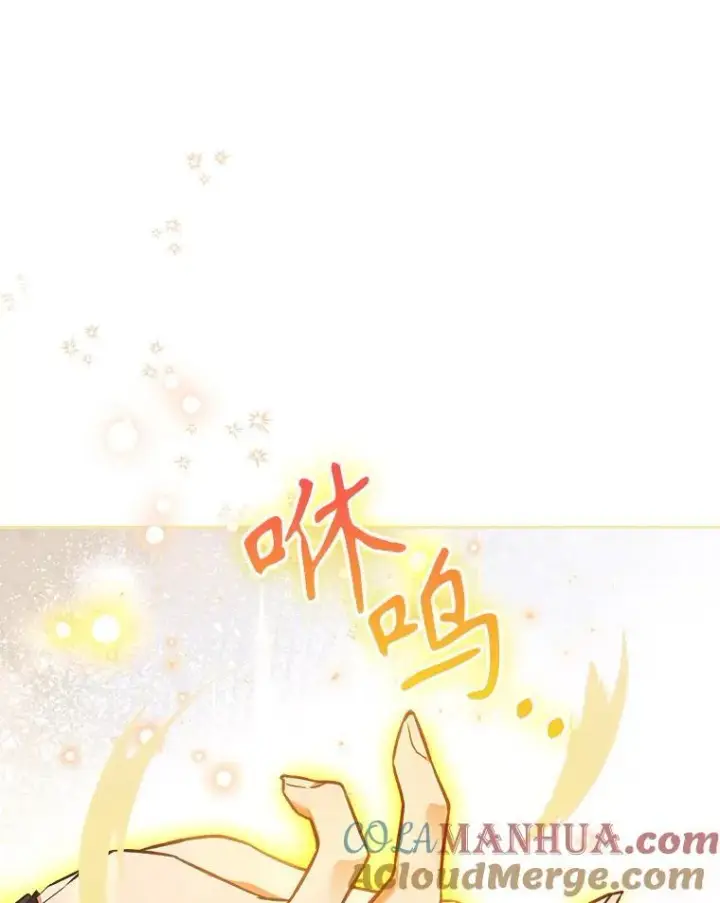 《满级公女今天也很无聊》61.暴露行踪图17