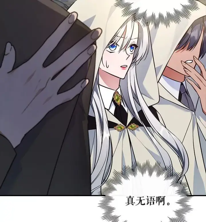 《满级公女今天也很无聊》61.暴露行踪图26