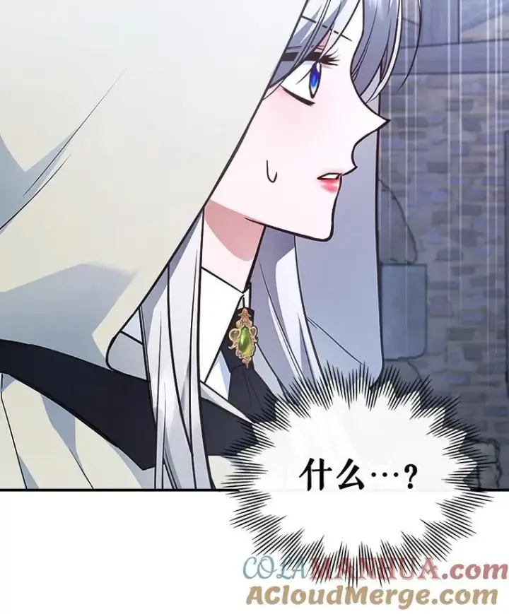 《满级公女今天也很无聊》61.暴露行踪图37