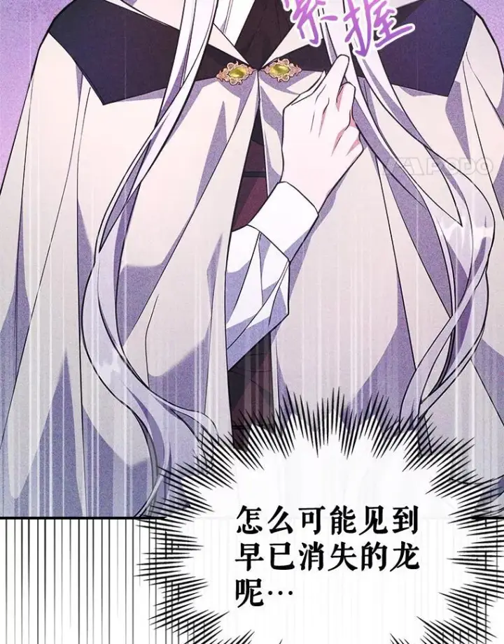 《满级公女今天也很无聊》61.暴露行踪图43