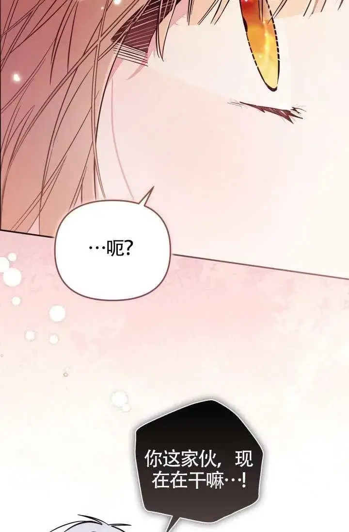 《冒牌皇女的生存之道》第88话图42