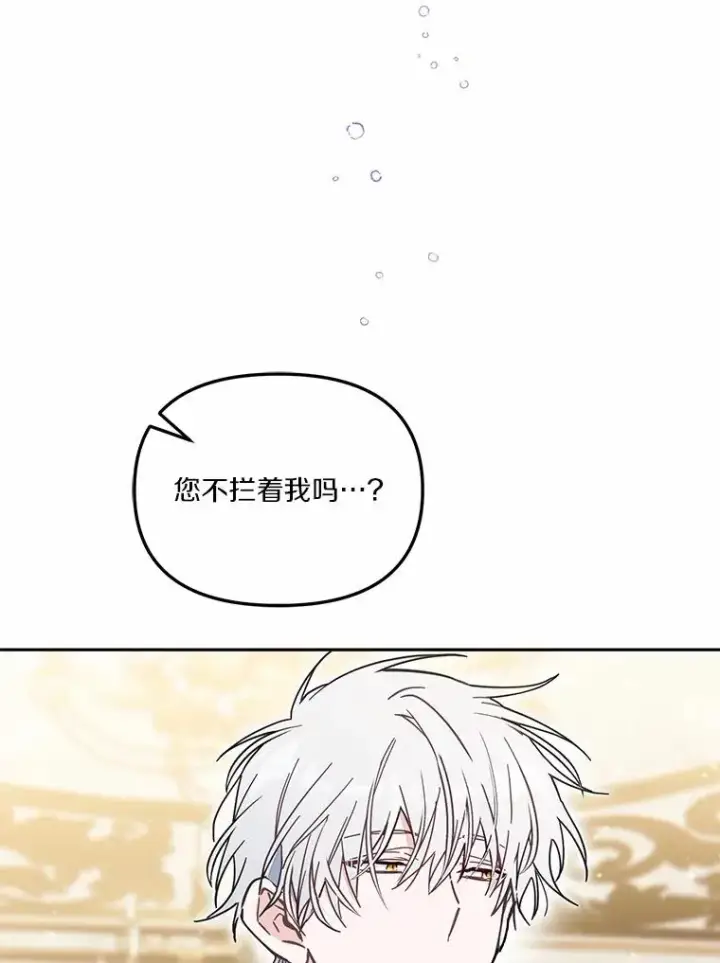 《冒牌皇女的生存之道》57.元媛舞会图27