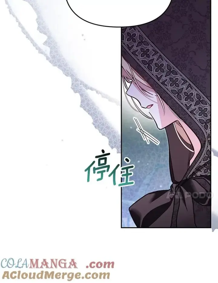 漫画《冒牌皇女的生存之道》66.是谁杀的第73张图