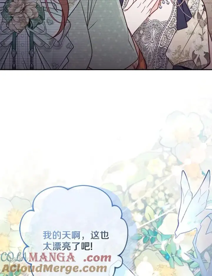 漫画《冒牌皇女的生存之道》69.生日快乐第61张图