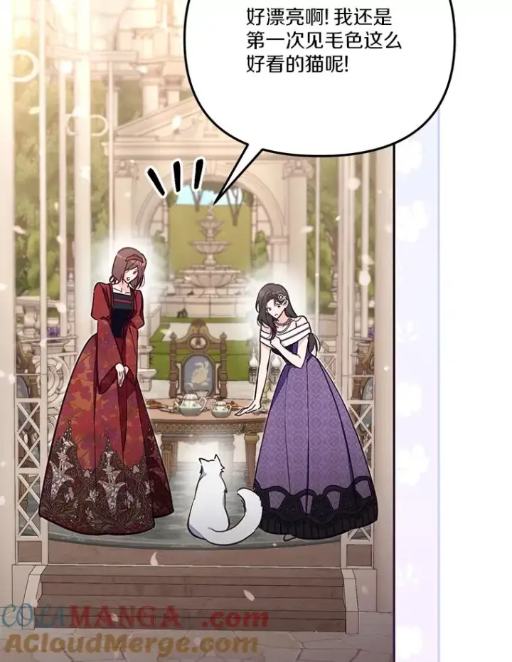 漫画《冒牌皇女的生存之道》69.生日快乐第85张图
