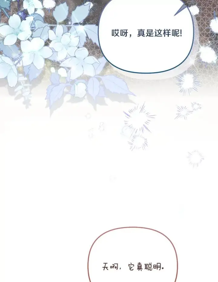 漫画《冒牌皇女的生存之道》69.生日快乐第88张图