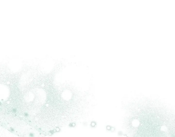 漫画《冒牌圣女等待离场》第14话 皇太子乔装打扮第83张图