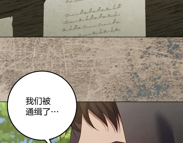 漫画《冒牌圣女等待离场》第67话 通缉令第47张图
