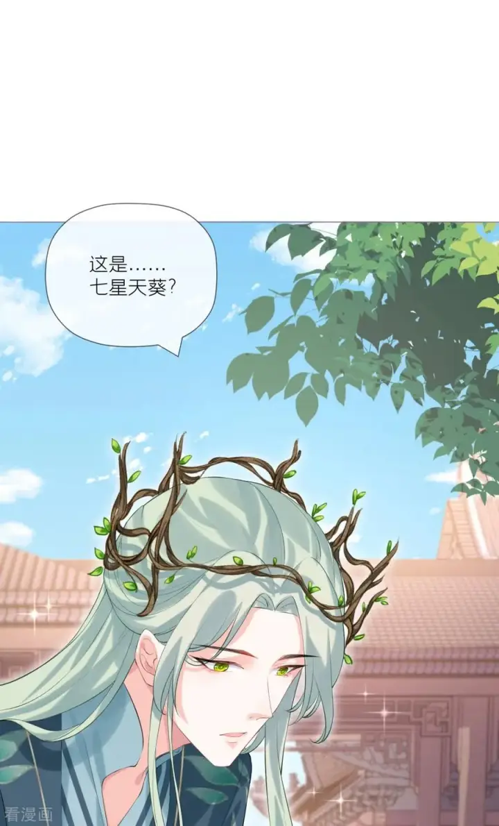 漫画《萌主人设又崩啦！》第34话 在逃森林王子第45张图