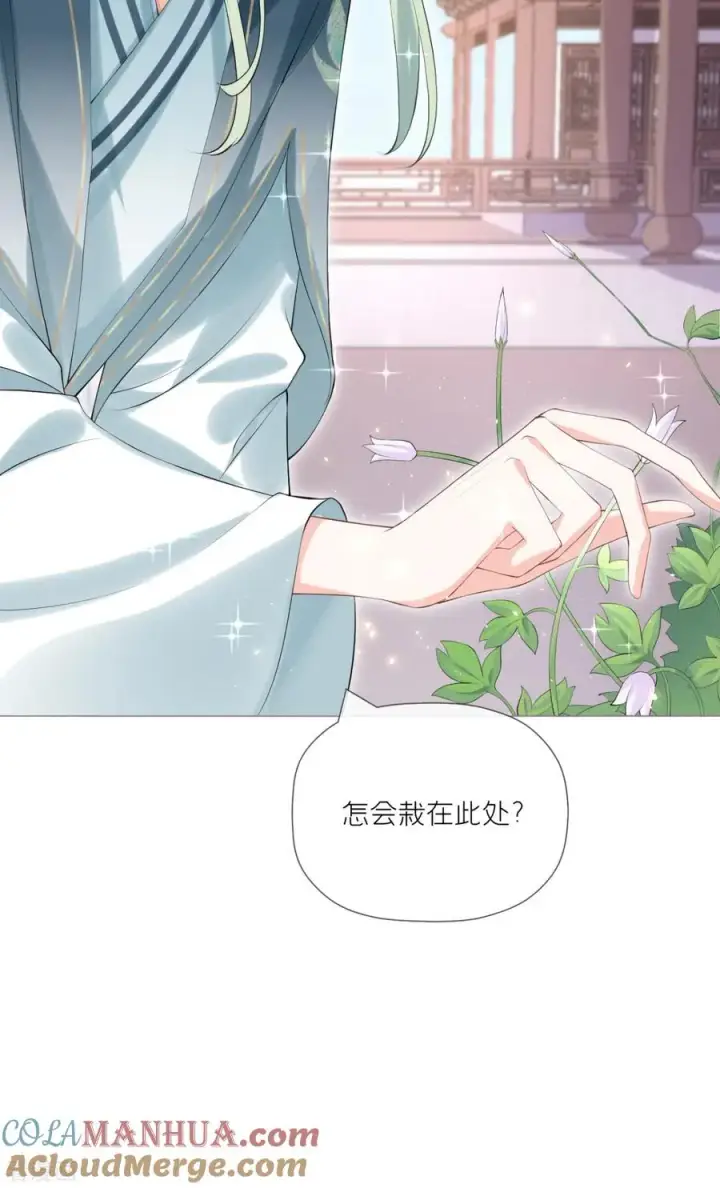漫画《萌主人设又崩啦！》第34话 在逃森林王子第46张图
