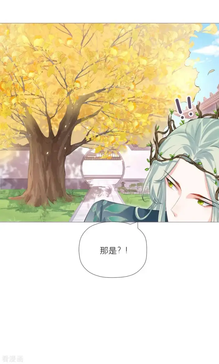 漫画《萌主人设又崩啦！》第34话 在逃森林王子第50张图