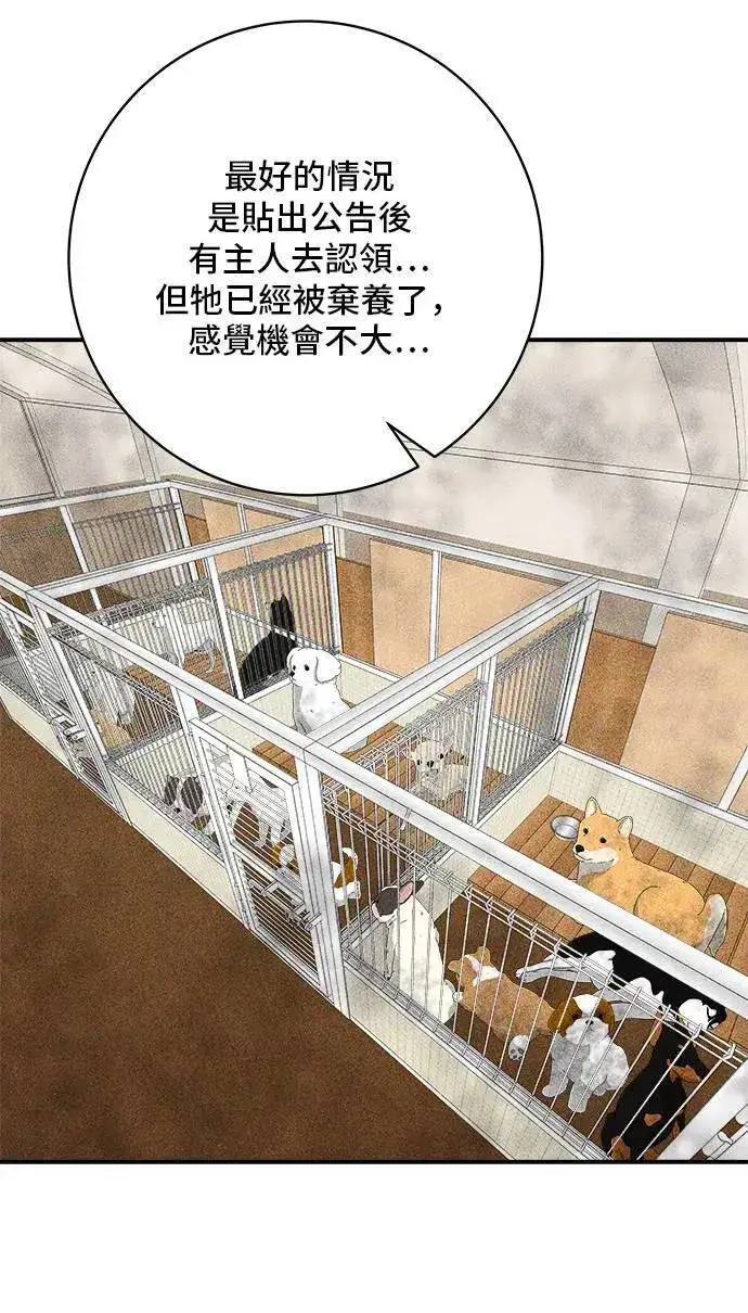 漫画《米虫的一日三餐》第198话 番茄炒蛋第13张图