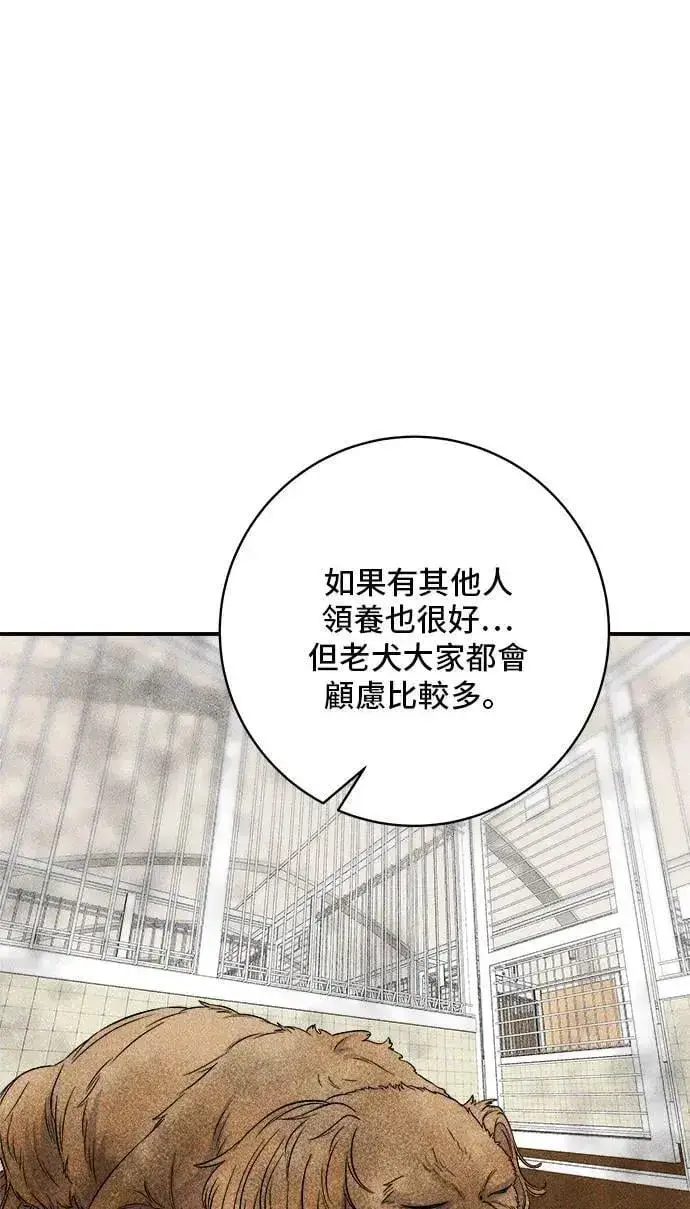 漫画《米虫的一日三餐》第198话 番茄炒蛋第14张图