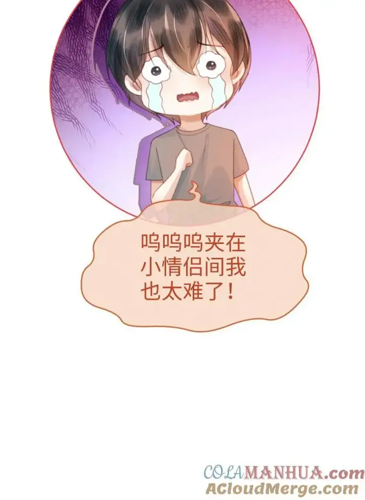 《明撩！暗诱！和顶流影帝恋综撒糖》第84话 大型屠狗现场图21