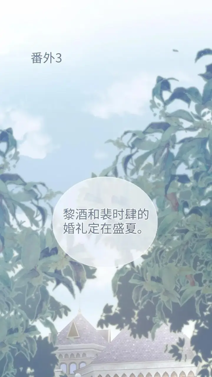 《明撩！暗诱！和顶流影帝恋综撒糖》第203话 番外3 婚礼图2