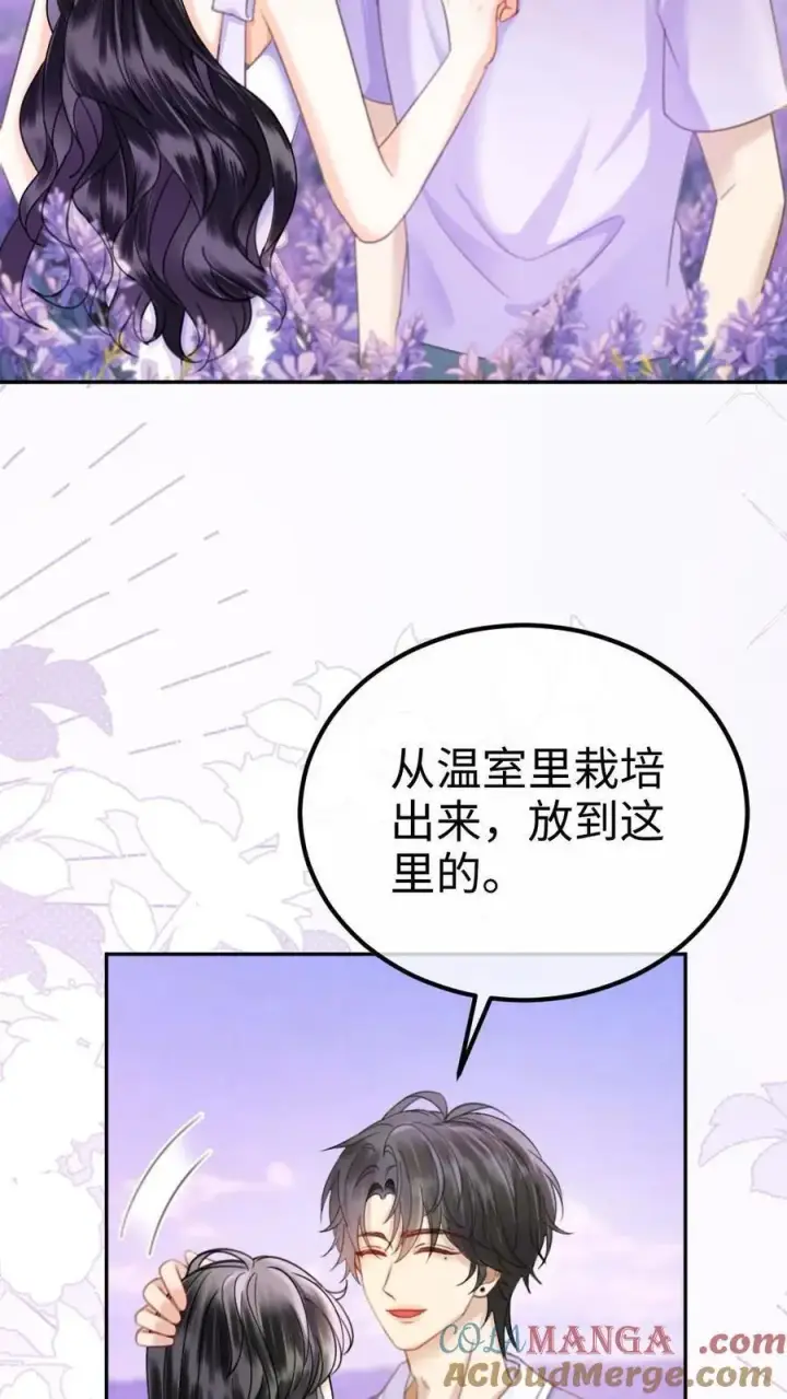 《明撩！暗诱！和顶流影帝恋综撒糖》第377话 番外14 十里红妆 永远热恋图11