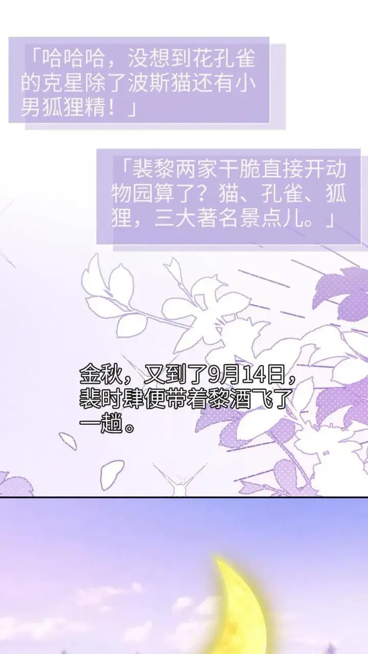 《明撩！暗诱！和顶流影帝恋综撒糖》第377话 番外14 十里红妆 永远热恋图8