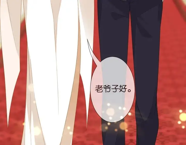 《名门挚爱》第196话 先生要入赘龙家？图87